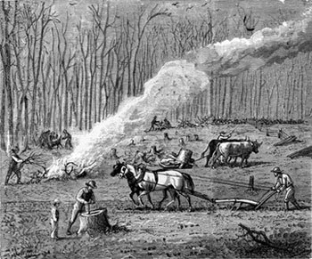 Farm labor throughout the agrarian age was labor intensive