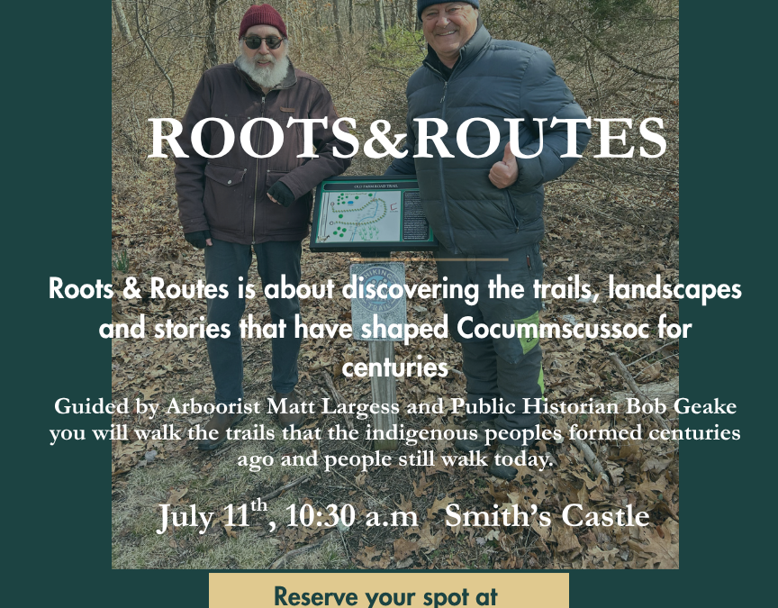 Roots & Routes A Walk through History
