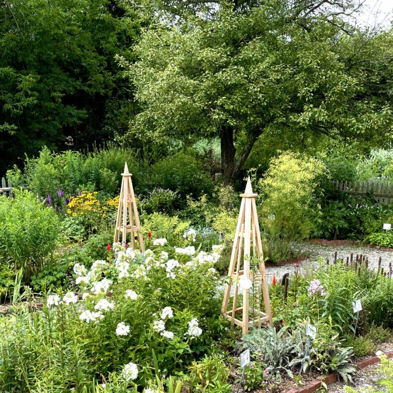 Smith Castle - Georgian Garden
