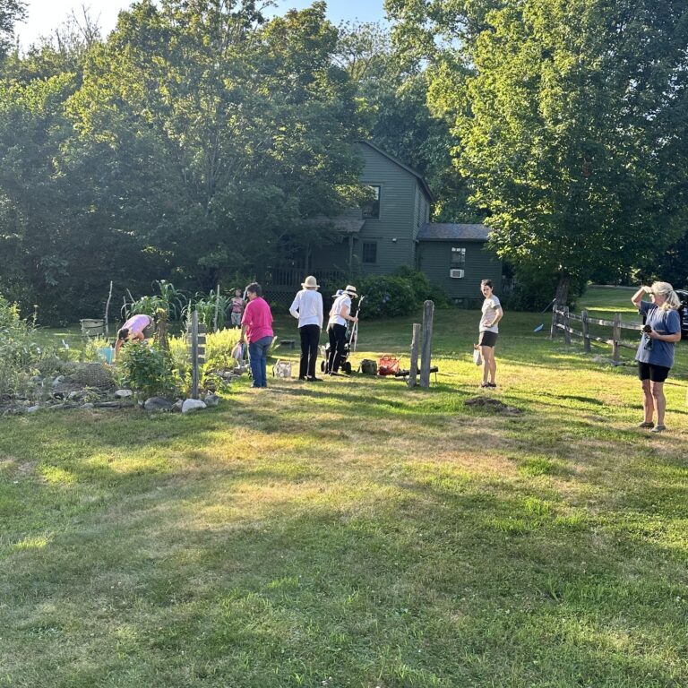 Smiths Castle - Master Gardners