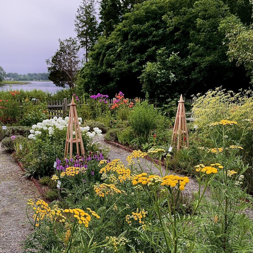 Smiths castle - Georgian Garden 2